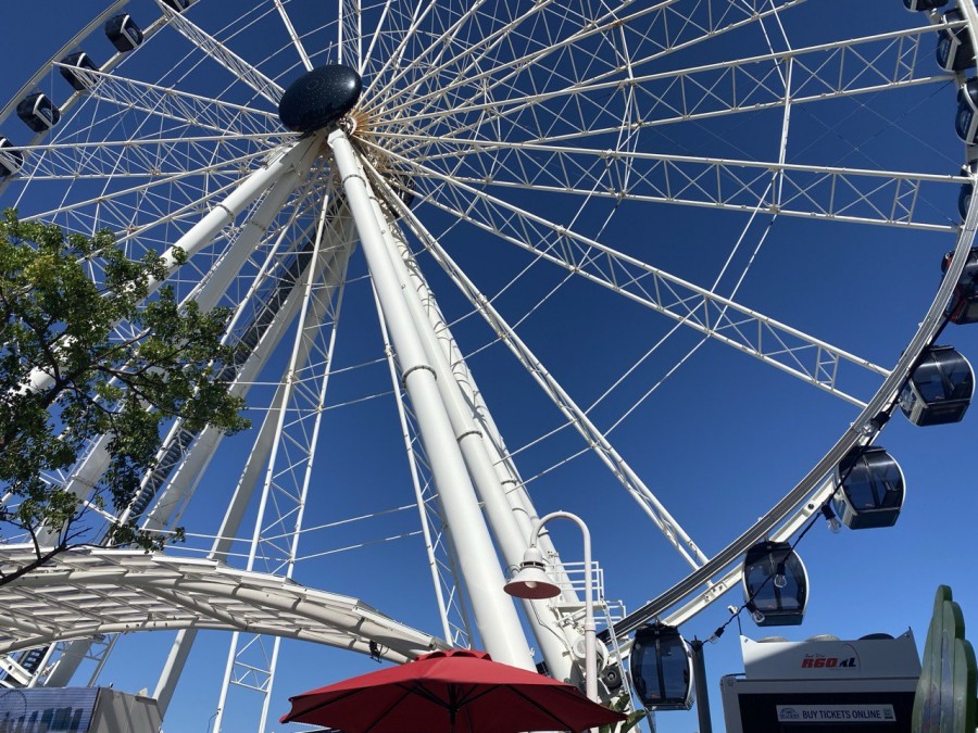 Enjoy the views of Miami from the Ferris Wheel for an unforgettable experience.