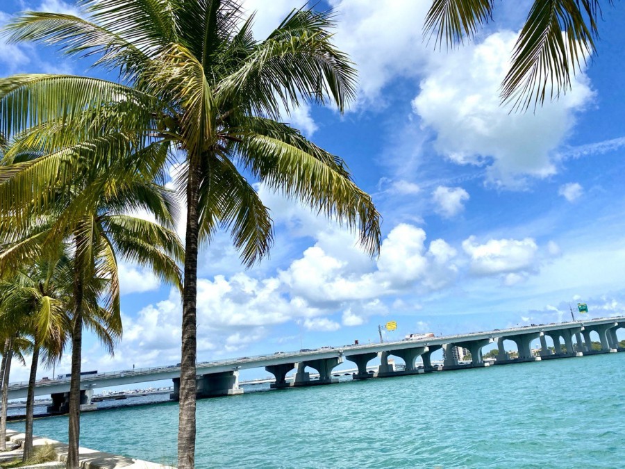 Rental cars or rideshares? Navigating Miami’s transport like a local