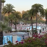 Palms And Pool