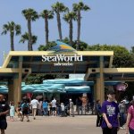 A bright day at SeaWorld San Diego