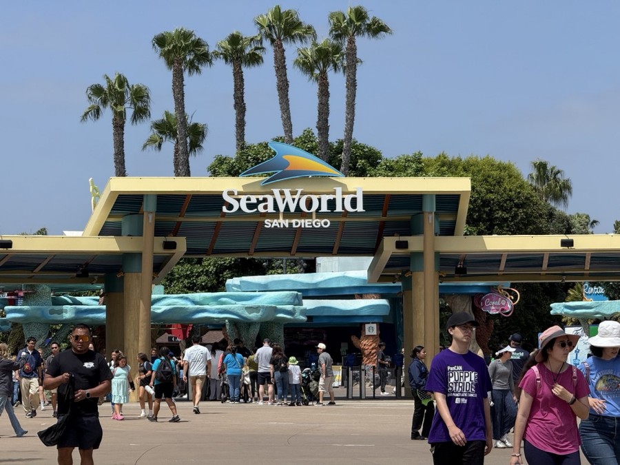 A bright day at SeaWorld San Diego, capturing the park’s iconic coastal charm.