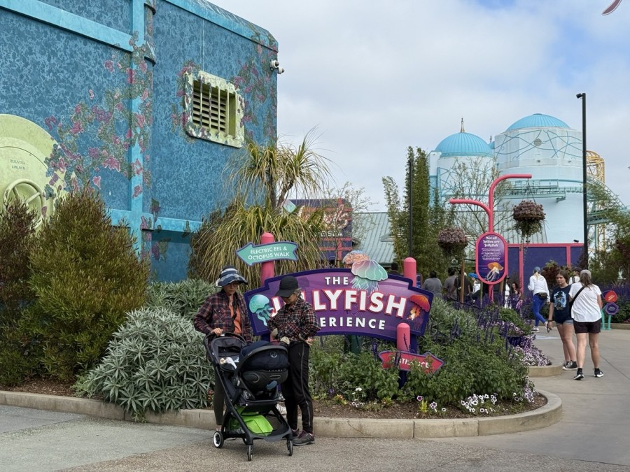 Plan your trip at SeaWorld.com and let the adventure begin.