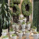 50 Years Rogers Gardens