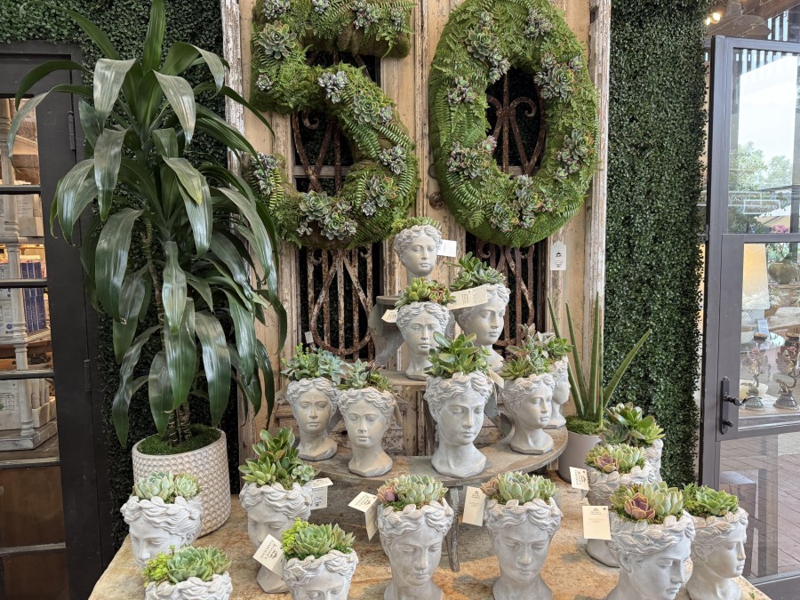 50 Years Of Roger’s Gardens: A Blooming Legacy Of Beauty And Seasonal Wonder