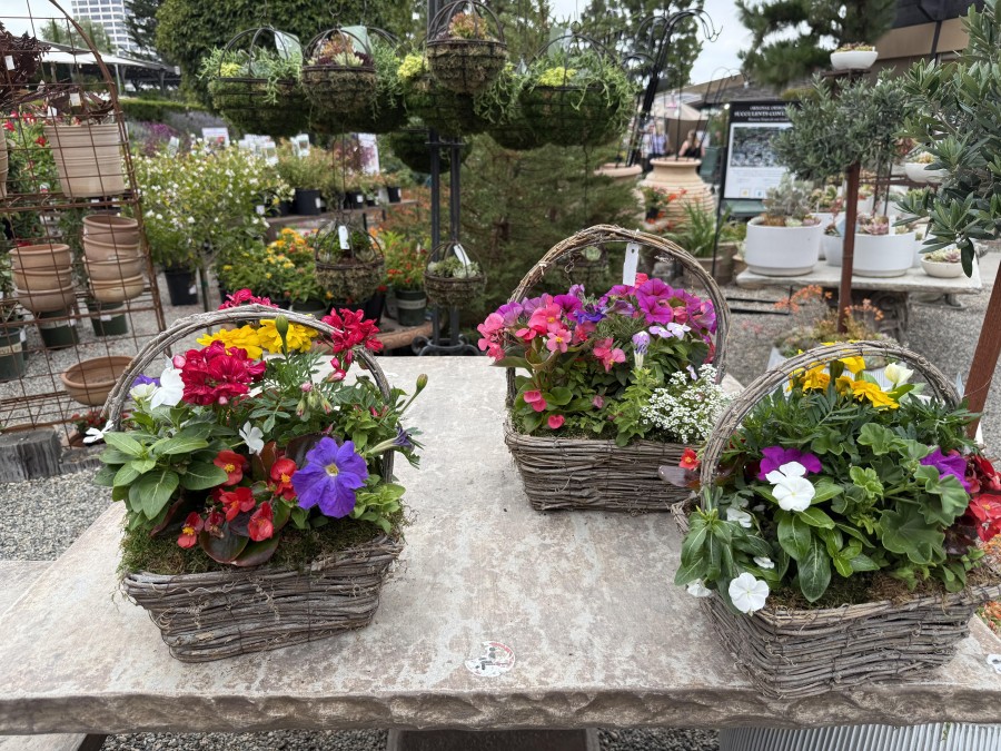Roger’s Gardens supports wildlife conservation by matching customer donations to Sea and Sage Audubon Society, funding local habitat efforts and youth education.
