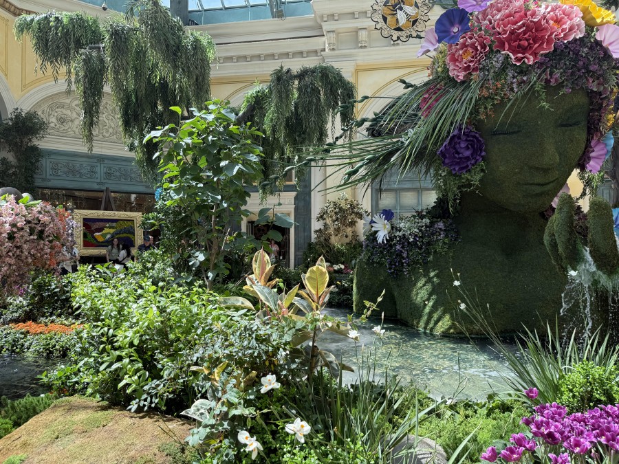 Bellagio and Wynn frequently offer show and dining deals, making it easy to enjoy family fun at a discounted price.