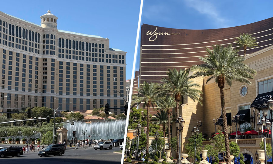Bellagio vs Wynn: Which Vegas Hotel Suits Your Family Trip Best