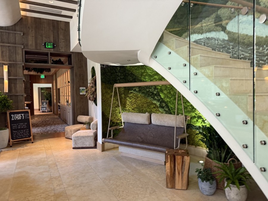 Natural materials and plant life turn this urban hotel into an eco-friendly retreat.