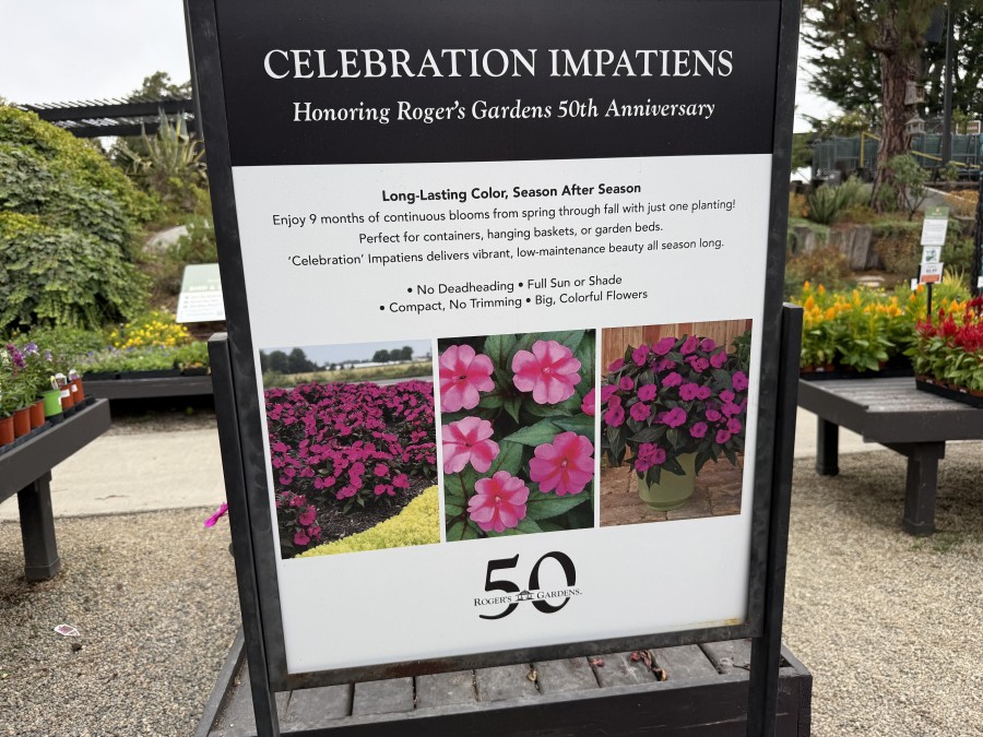 Discover how nature becomes lifestyle at Roger’s Gardens