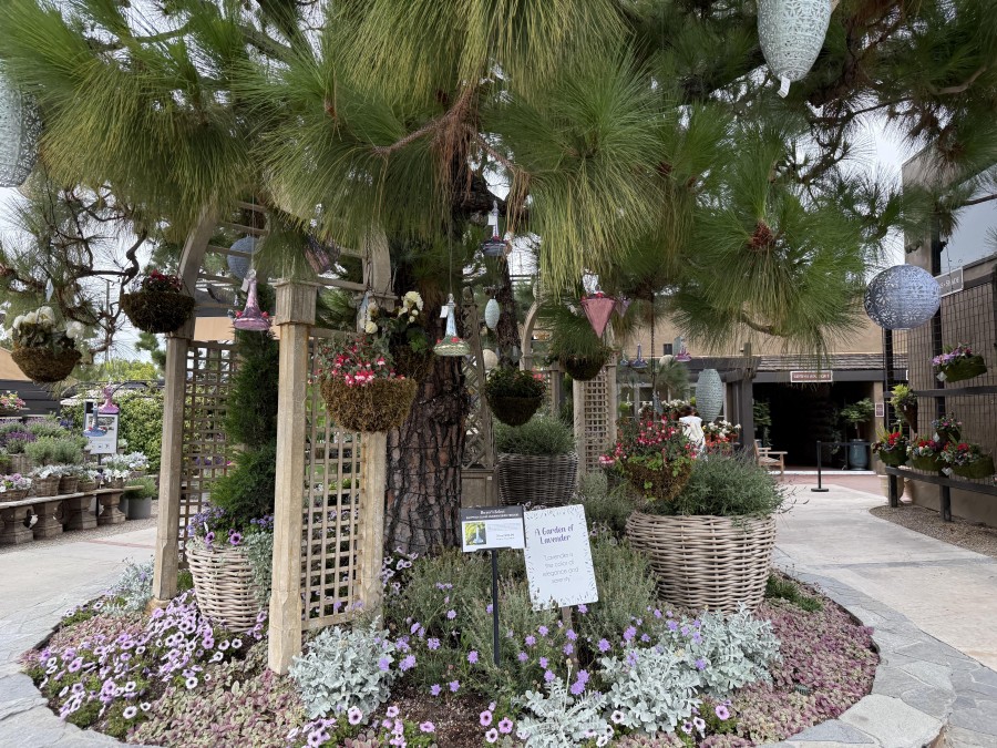 Learn how to create a hummingbird-friendly garden using native plants, water features, and eco-conscious practices.