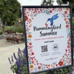 Hummingbird Summer at Rogers Gardens