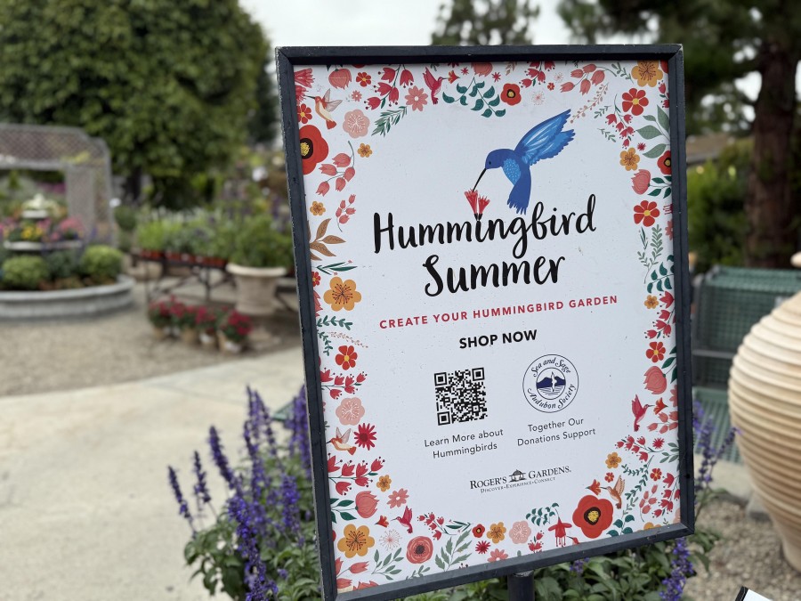 Roger's Gardens is proud to offer the Hummingbird Summer Event