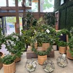 Roger's Gardens Summer Store