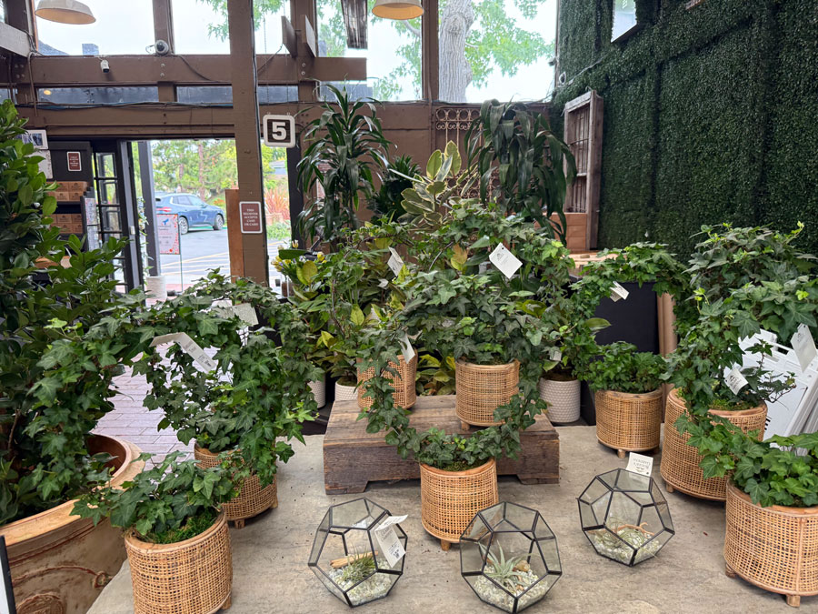 Roger's Garden Summer Store