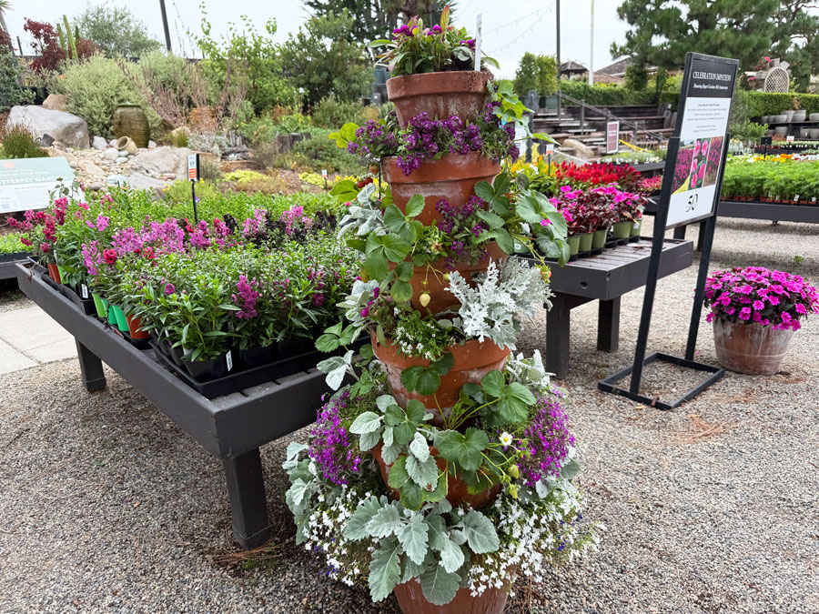 Seasonal Plants and Decor at Roger's Gardens