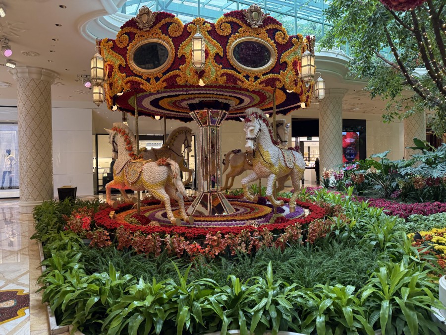 Wynn offers a refined, tropical resort atmosphere that blends luxury with a relaxed, family-friendly vibe.