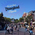 Disneyland Theme Park - California