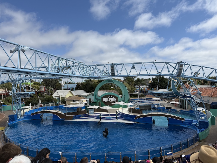Families enjoying the live Dolphin Adventures show in the stadium.