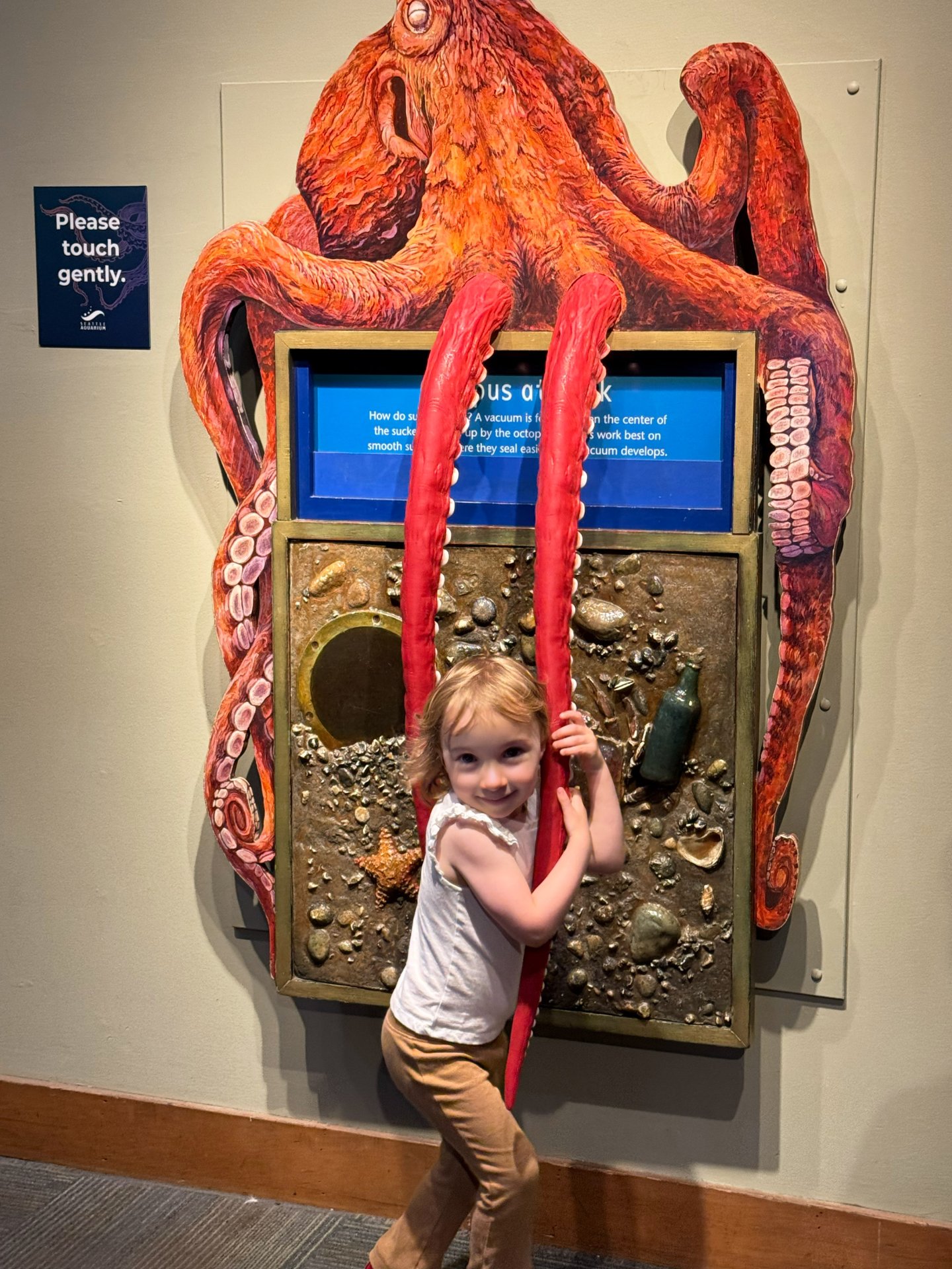 Giant Pacific Octopus exhibit at the Seattle Aquarium