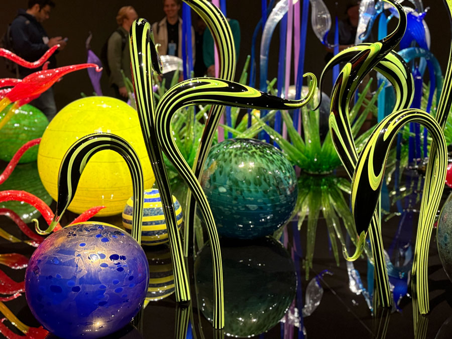 Glass Shapes by Dale Chihuly Inspired by The Underwater World