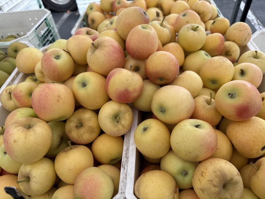 Fresh yellow apples stacked high on a vendor's stand.