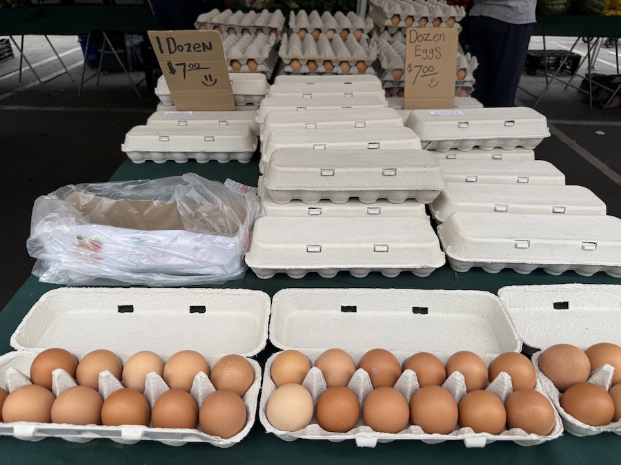 Organic eggs in cartons arranged for sale.