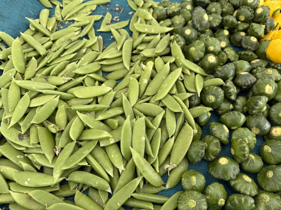 Close-up of vibrant green peas.