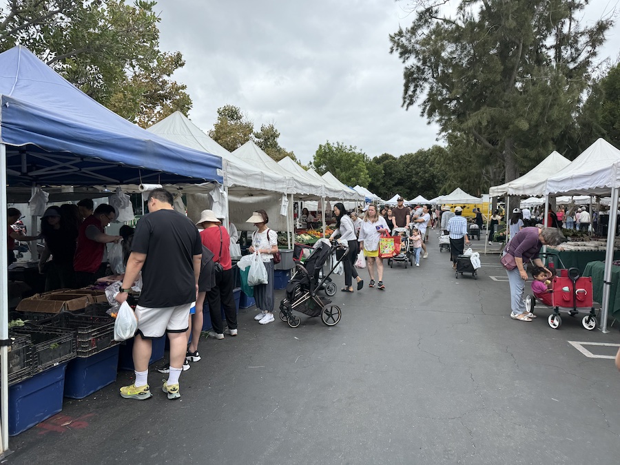 Rows of white tents filled with local goods and shoppers.