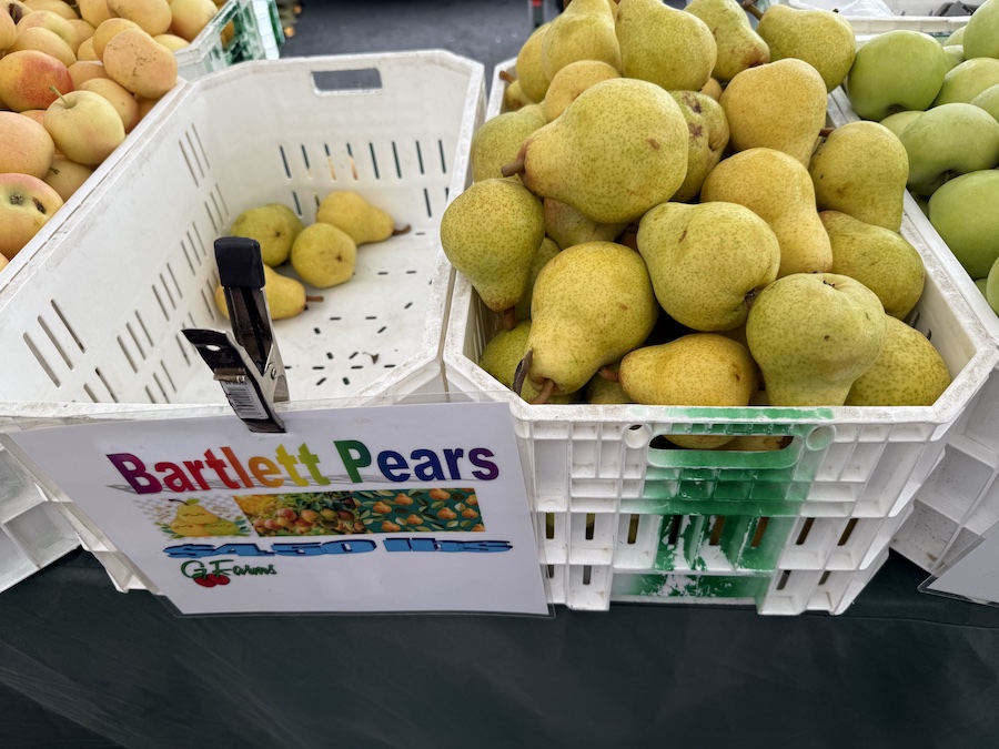 Basket of ripe, golden pears on display at the farmers market.