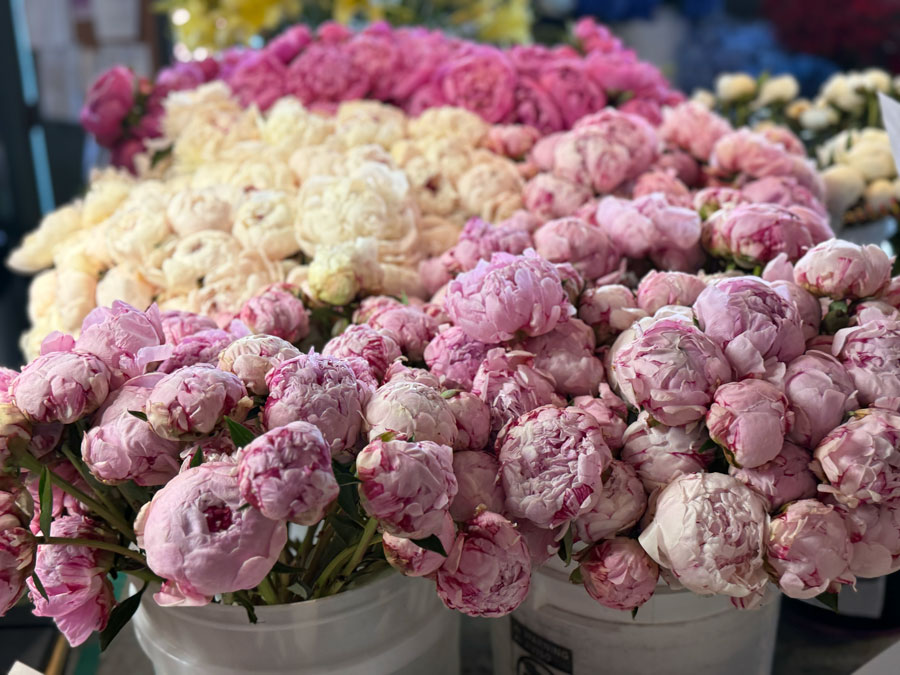 Peonies at Pike Place Market