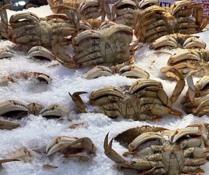 Crushed ice piled high with Dungeness crab at Pure Food Fish Market.