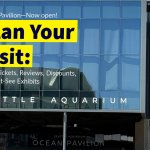 Seattle Aquarium Guide