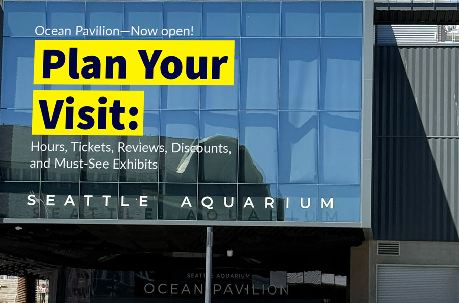 Seattle Aquarium Guide