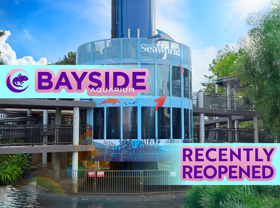 SeaWorld Bayside Aquarium Review