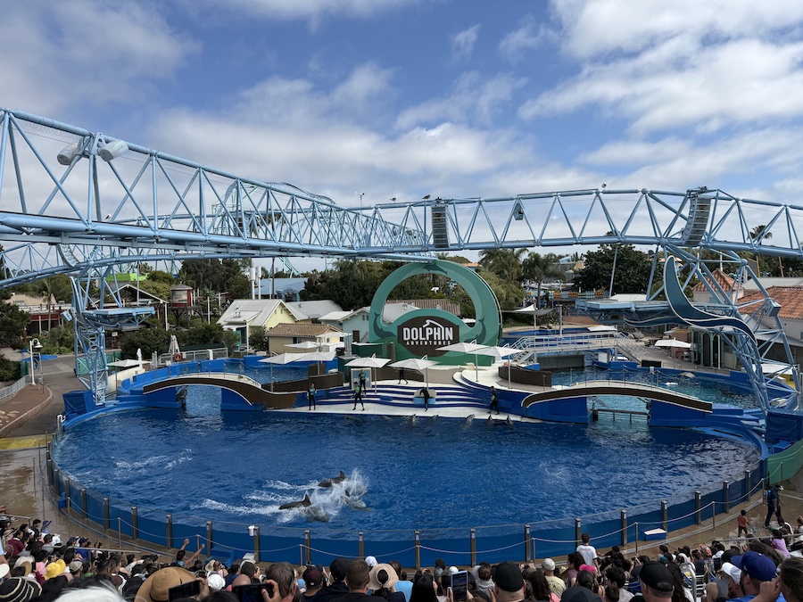 Guests enjoying the Dolphin Adventures show from the stadium seating.
