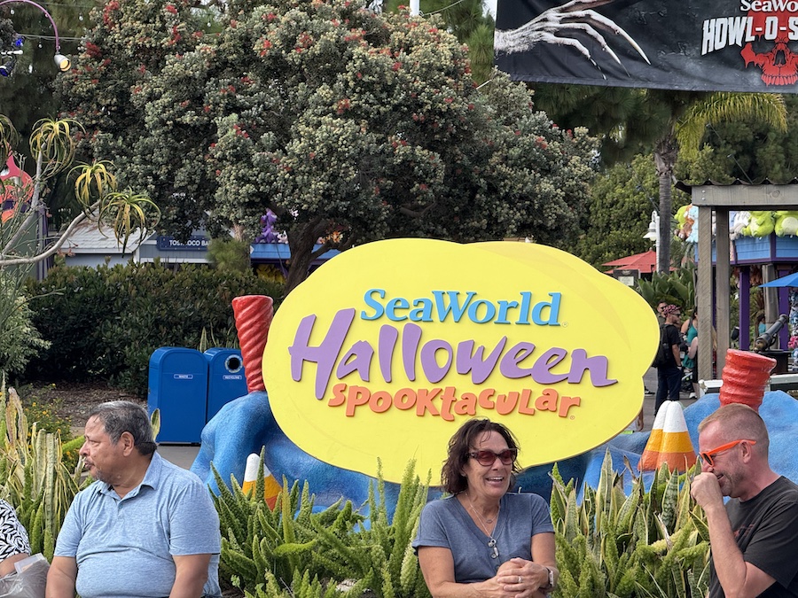 Festive Halloween decorations and seasonal atmosphere at the park.
