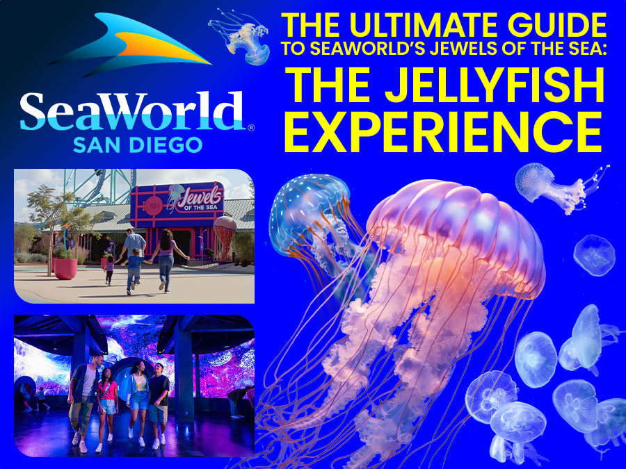 The Ultimate Guide to SeaWorld’s Jewels of the Sea Aquarium