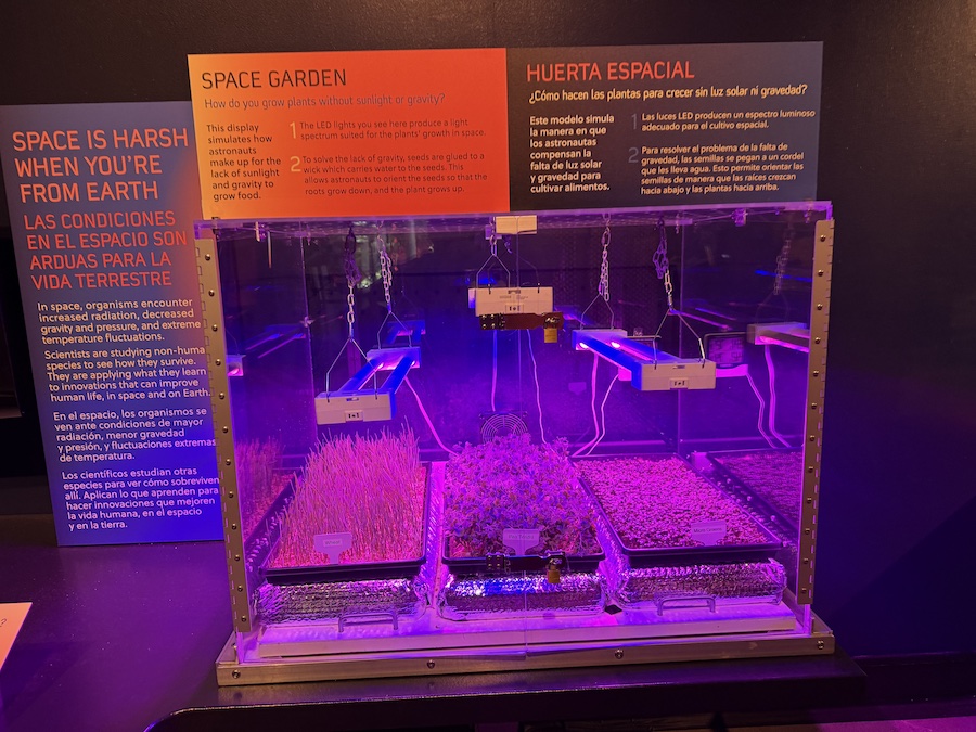 A "Space Garden" exhibit showing plants growing under purple LED lights.