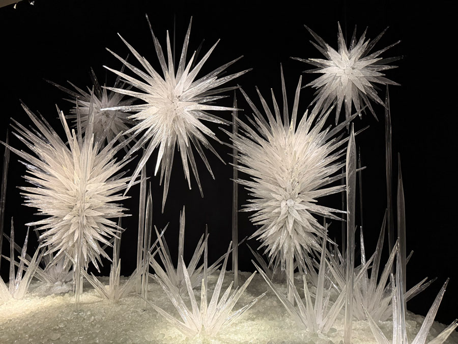 The Installation 'Winter Brilliance" at Chihuly Garden and Glass