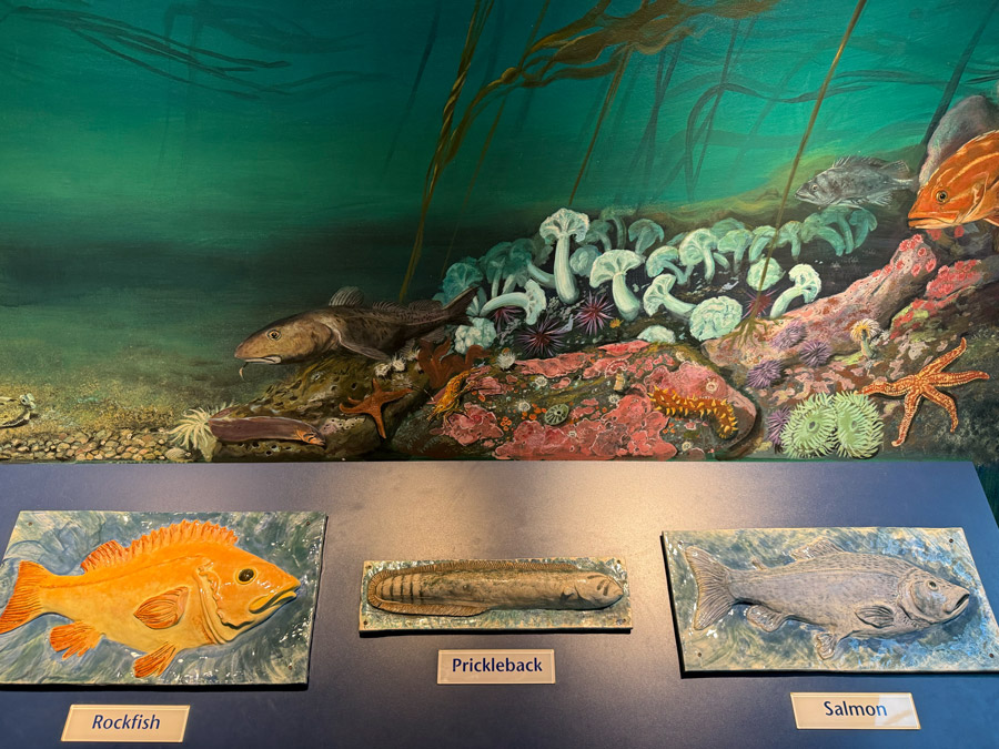 The Seattle Aquarium's "Underwater World: Fish of the Pacific" exhibit