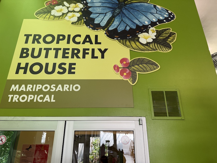 Tropical Butterfly House invites visitors to immerse themselves in a fascinating world.