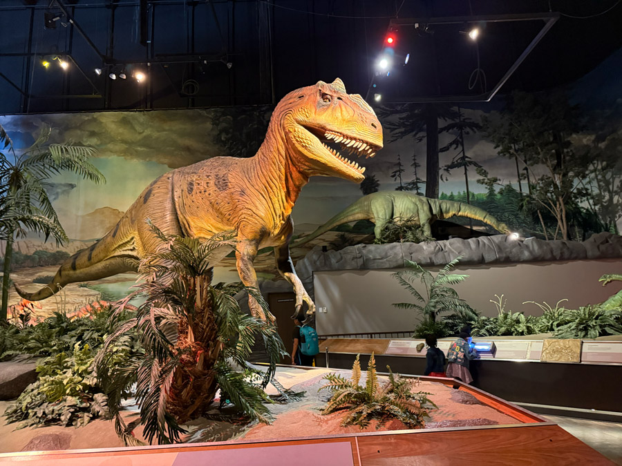 Tyrannosaurus at Pacific Science Center
