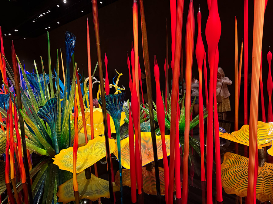 Whimsical Sea Forms at Chihuly Garden and Glass