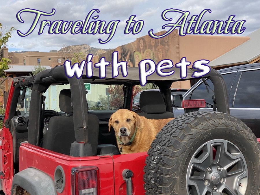 Atlanta Travel With A Dog: The Complete Pet-Friendly City Guide