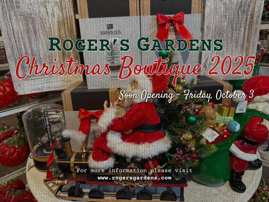 Step Into Holiday Magic: Roger’s Gardens Christmas Boutique Opening October 3