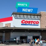 Costco Wholesale Fall Finds Review