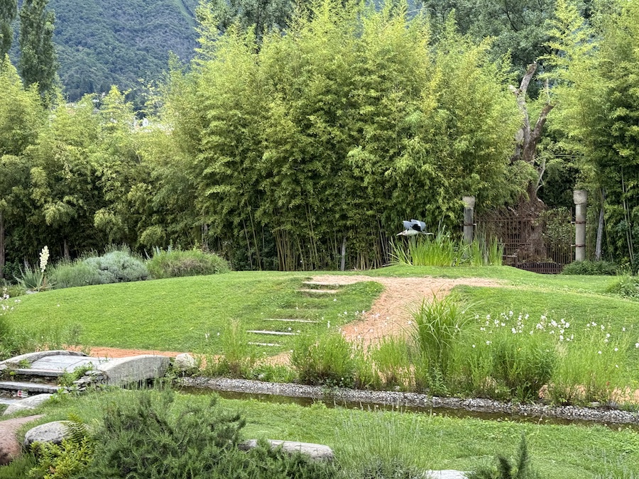 Visitors watch as a marabou stork flies over a lawn.