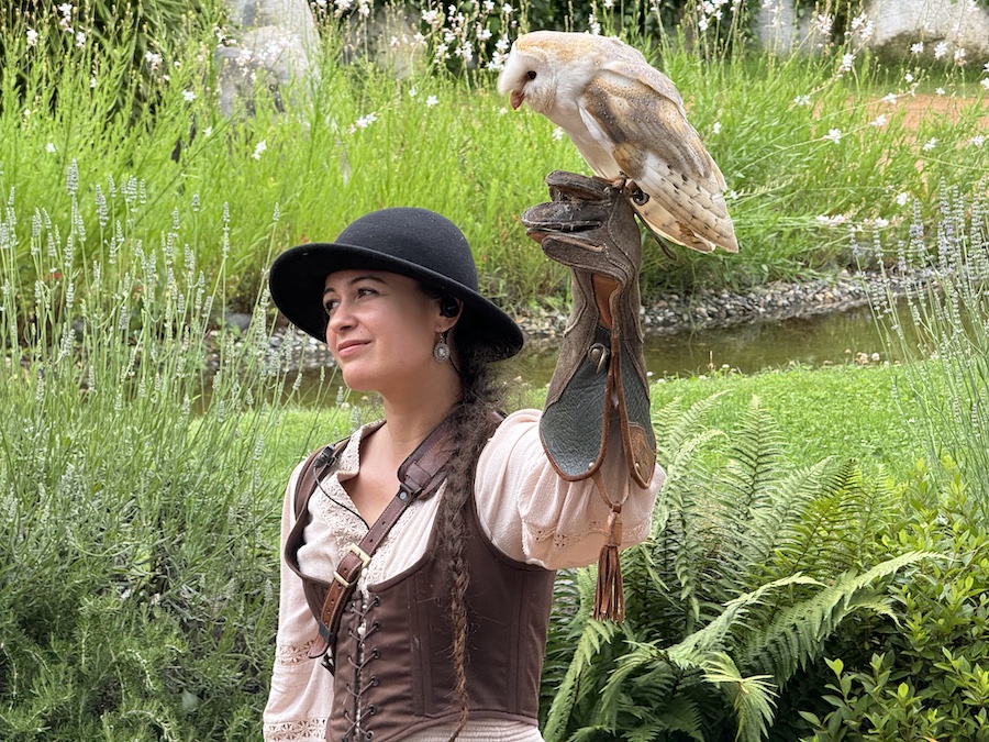 Trainer showcasing an owl during the educational presentation.
