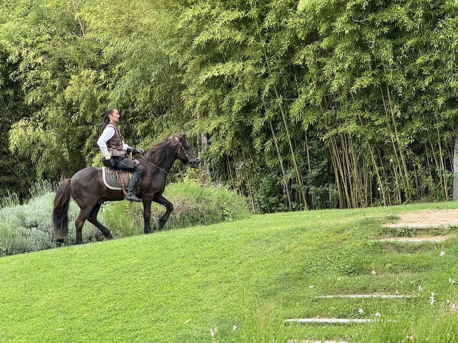 A trainer on horseback feeds a bird of prey.