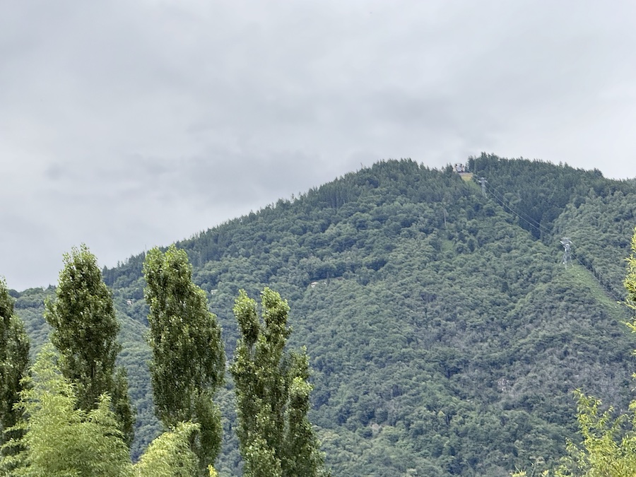 View of the mountains surrounding Falconeria Locarno.